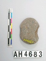 藏品(小砝碼型石網墜)的圖片